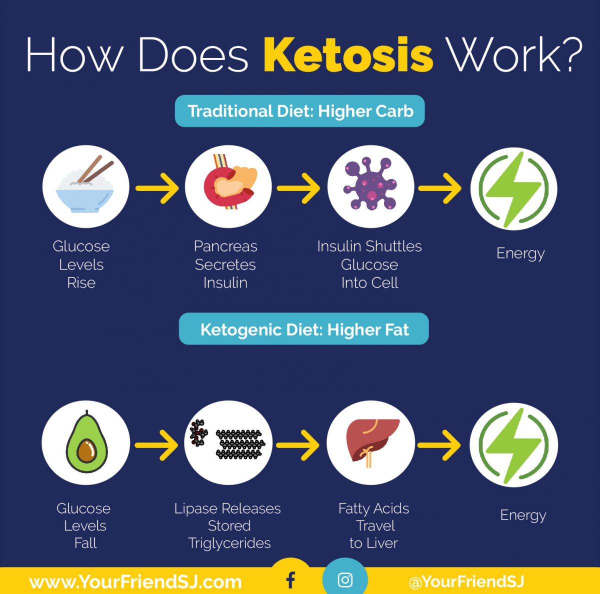 How Does Ketosis Work Infographic - Keto For Dummies